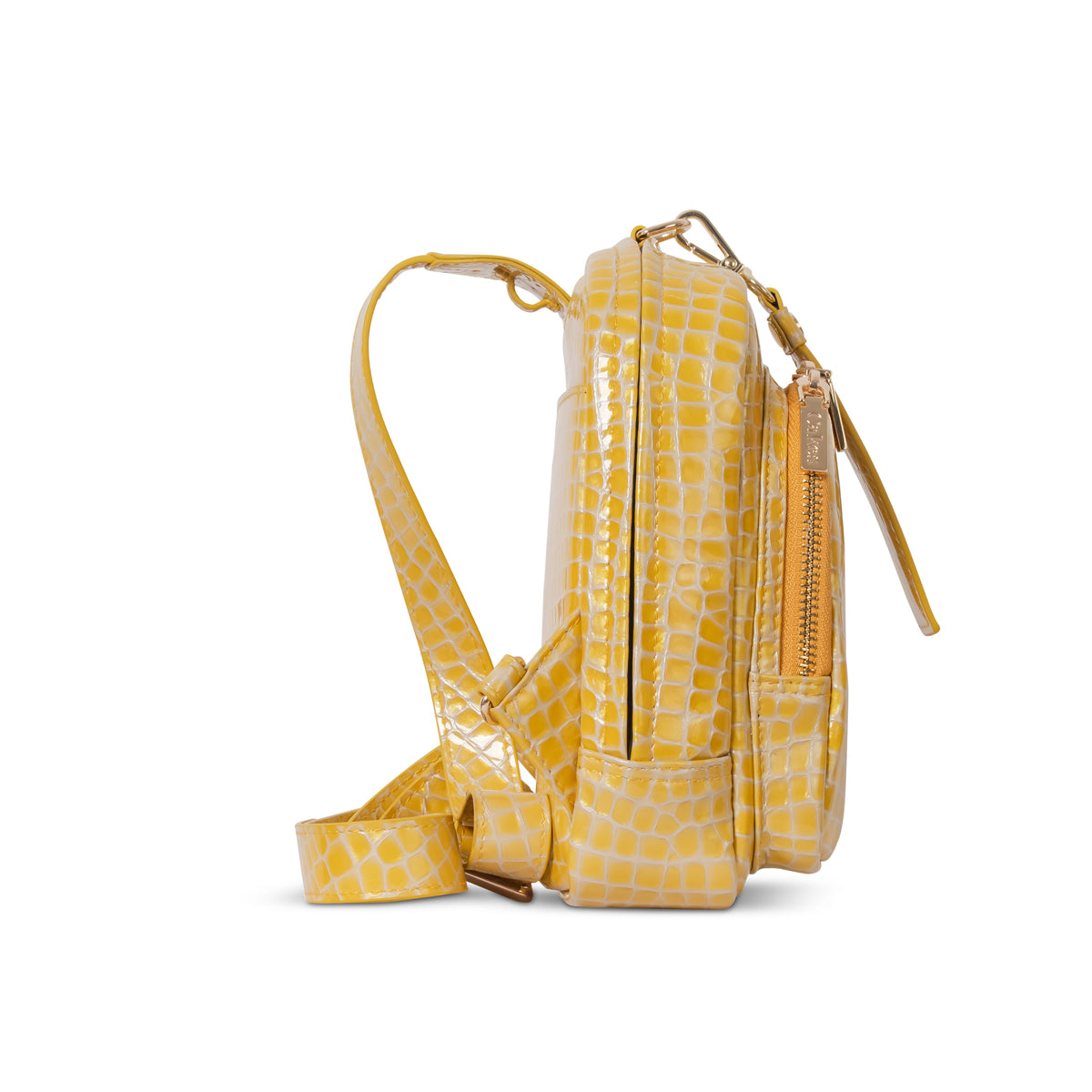 Champagne Meringue Chiffon Compact w/ Wallet